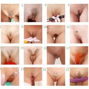 Pictures Of Different Types Of Pussy