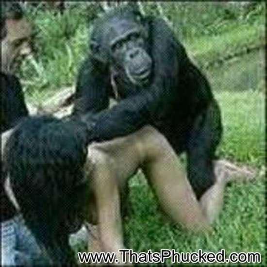 Bail reccomend women fucking with chimpanzees